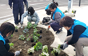 2024年11月19日(火)　 吉野川高校の生徒の方々と先生も参加して鴨島駅前花壇整備